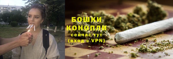 индика Ханты-Мансийск