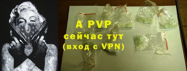прущие грибы Хадыженск