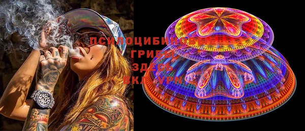 индика Ханты-Мансийск