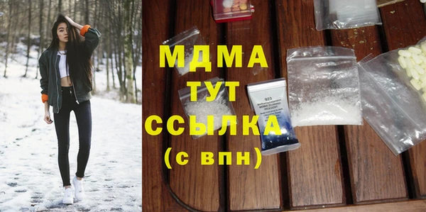 прущие грибы Хадыженск