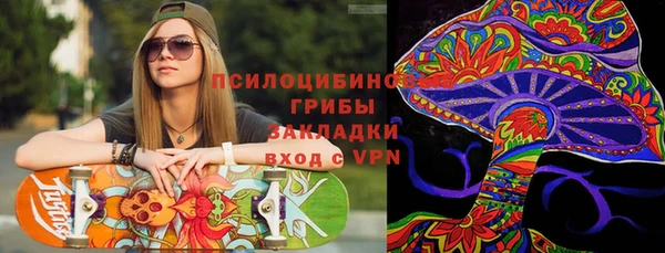 индика Ханты-Мансийск
