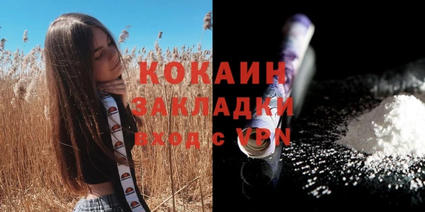 прущие грибы Хадыженск