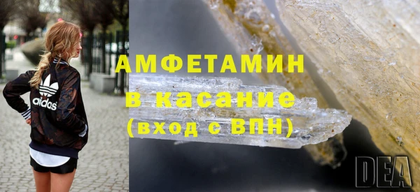 прущие грибы Хадыженск