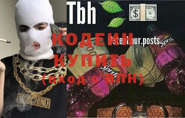 прущие грибы Хадыженск