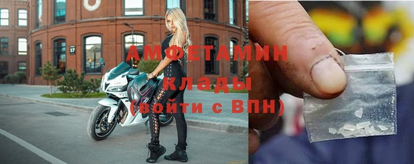 прущие грибы Хадыженск