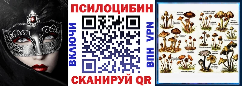 Галлюциногенные грибы GOLDEN TEACHER  Злынка 