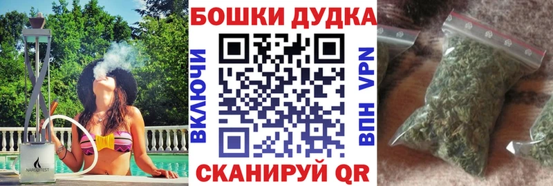 Бошки марихуана конопля  Злынка 